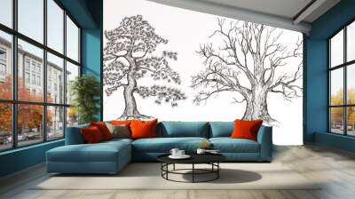 Vector hand drawn high detailed trees for design Wall mural