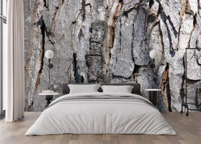 tree bark Wall mural