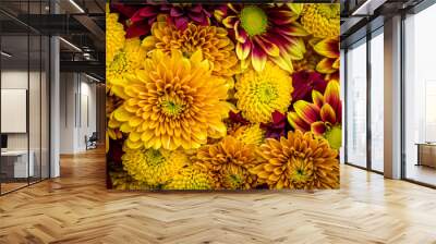 Mums in warm fall colors fill the frame. Wall mural