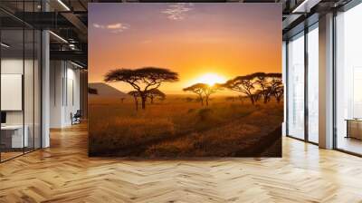 sunset in savannah of africa with acacia trees safari in serengeti of tanzania Wall mural