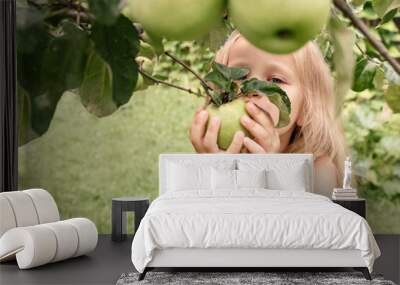 Apples for Children. Child eats apple from branch in Apple Garden. Apple Harvest pick up. Wall mural