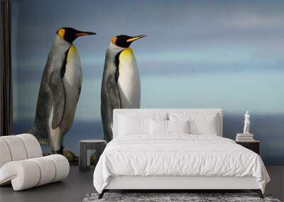 Two Penguins Standing on Rock Wall mural