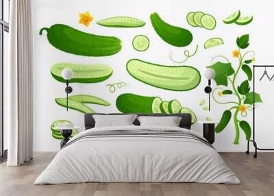 Green ripe cucumber. Vector set of half and slices cucumber with stem leaves, seeds and flower. Organic green vegetable for healthy food, salad, diet, nutrition. Agricultural product. Plant growth  Wall mural