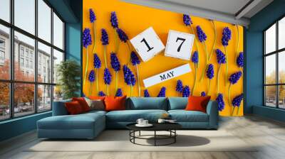 Calendar for May 17: cubes with the number 17, the name of the month of May in English, scattered flowers of blue muscari on a yellow background, top view Wall mural