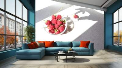 Shadow of a hand reaching for a ripe raspberry berry on a gray background, side view Wall mural