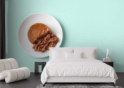 Soft pate for cat on a feeding plate over pastel mint background. Portion of wet pet food of minced meat on a white saucer closeup. Wet pet food, cat feed concept. Copy space. Wall mural