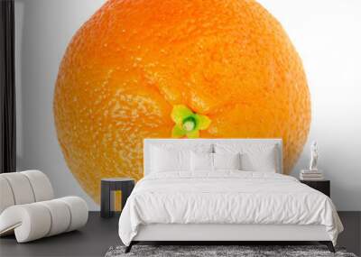 fresh orange Wall mural