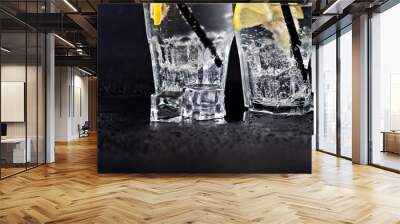 Glasses of fresh cold carbonated water with ice cubes and lemon slices closeup. Wall mural