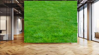 green grass background Wall mural