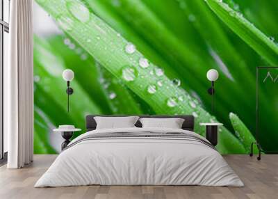 wet green grass Wall mural