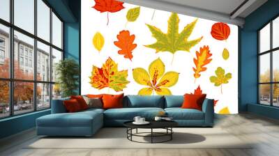 Big set of bright realistic autumn leaves. Isolated on a white background. Flat style design. Vector illustration Wall mural