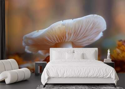 Fungi Closeup: White Mushroom in Wood Bonnet. Beautiful Autumn Background Wall mural