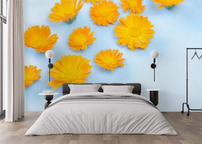 Many buds of orange flowers on a blue background. Wall mural