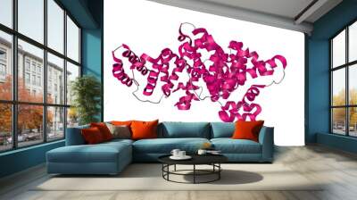 Human serum albumin complexed with hexadecanoic acid (palmitic acid). Ribbons diagram in secondary structure coloring based on protein data bank entry 1e7h. Scientific background. 3d illustration Wall mural