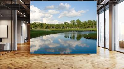 South Carolina nature background.  Southern landscape with golf court. Group of Canadian geese on a pond, cloudy sky reflects in the water. South Carolina, Myrtle Beach area, USA. Wall mural