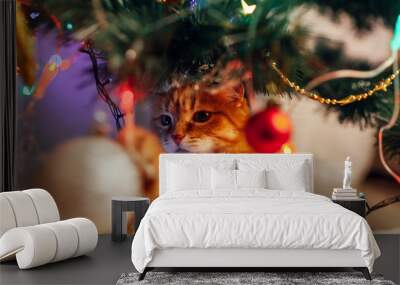 Ginger cat sitting under Christmas tree and playing with toys and lights. Christmas and New year concept Wall mural