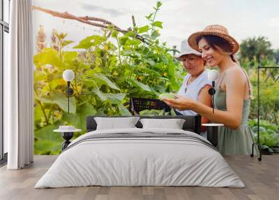 Women farmers picking cucumbers on summer farm. Mother and adult daughter harvesting vegetables and put in crate Wall mural