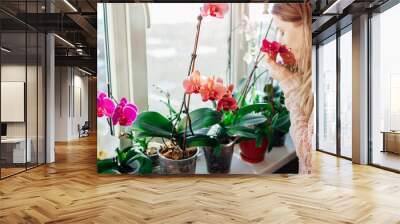 Young woman smelling blooming orchids on window sill. Housewife taking care of home plants and flowers. Hobby Wall mural