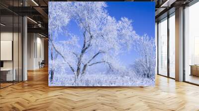 winter trees Wall mural