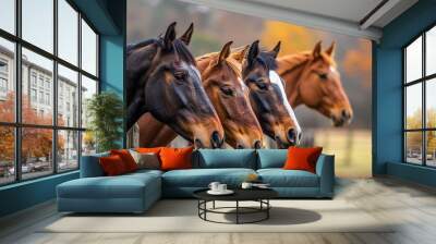 A close-up shot of rows of horses in a farm field behind a wooden fence. Wall mural