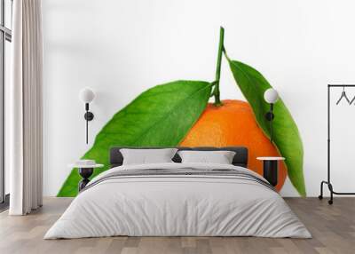 Healthy fresh orange tangerines on the white background Wall mural