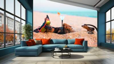 cute dog of dachshund, black and tan, wearing red sunglasses, having relax and enjoying buried in the sand at the beach ocean on summer vacation holidays with a glass of cocktail Wall mural