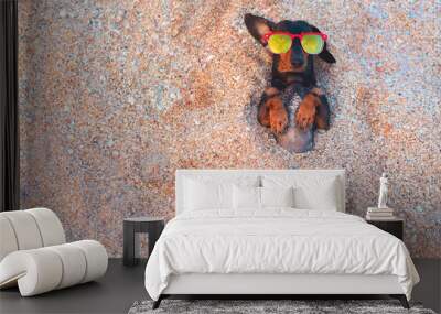 Top view  cute dog of dachshund, black and tan, buried in the sand at the beach sea on summer vacation holidays, wearing red sunglasses, turned-out ear. Copy space Wall mural