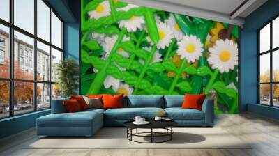 decorative fence for flowers Wall mural