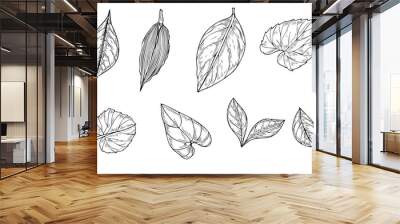 Tropical leaves clip art vector isolated illustration painted by black inks. Alocasia, kiwano, citrus, euphorbia, dracaena, hedera foliage realistic graphic sketch. Floral elements for design Wall mural