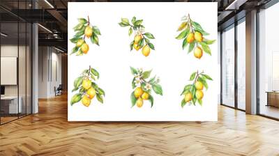 Summer set with lemon branch. Design elements with citrus fruits, vector illustration, label. Wall mural