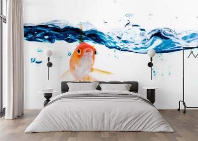 gold fish jumping . Wall mural