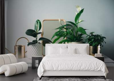 trendy modern scandinavian interior in white and grey tones decorated with houseplants and candles. Simply living and hygge concept Wall mural