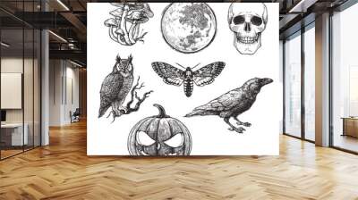 Vector vintage set of Halloween symbols in engraving style. Hand drawn illustration with skull, pumpkin, full moon, raven, death head moth and owl isolated on white Wall mural