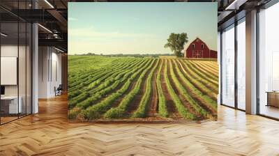 Wide view of a lush green farm field with rows of crops and a large red barn in the background under a clear blue sky. Rural landscape concept. Wall mural