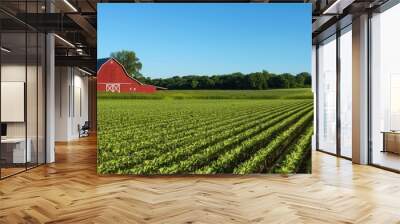 Wide view of a lush green farm field with rows of crops and a large red barn in the background under a clear blue sky. Rural landscape concept. Wall mural