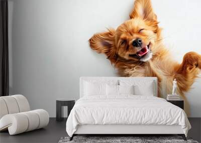 Cute Puppy laying on the floor top view flat lay with white copy space white background Wall mural