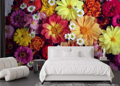 floral background with dahlias. Wall mural