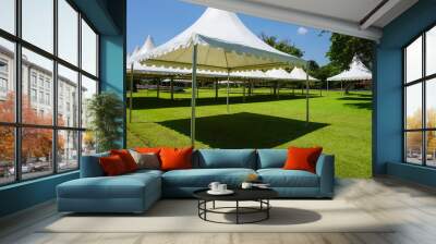 white tent with green grass on the garden park with shed - photo indonesia bogor Wall mural