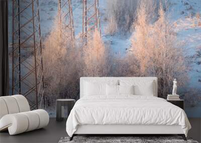 landscape on a cold winter day Wall mural