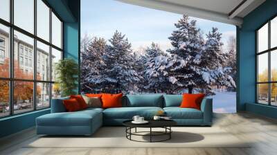 landscape with pine trees under snow in winter Wall mural