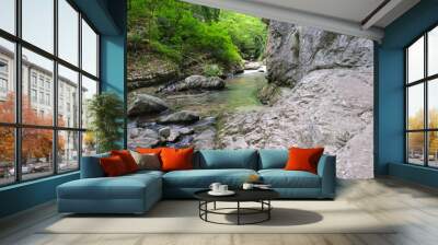 bridge over the orfento river inside the majella mountain complex in abruzzo italy Wall mural