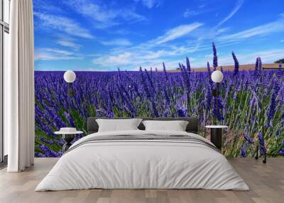 France, Provence, Valensole Wall mural