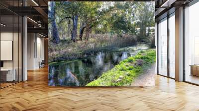 View of the Galeso river in Taranto, Puglia, Italy Wall mural