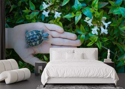 child with small turtle in hand in the garden with flowers background Wall mural