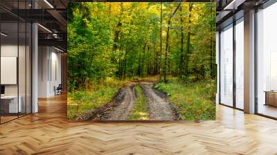 Road in a forest of Lower Silesia, Poland Wall mural