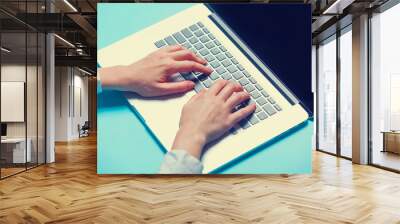 Woman typing on the notebook Wall mural