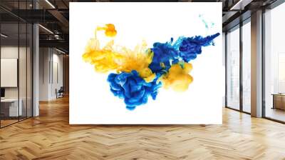 abstract formed by color dissolving in water over white background Wall mural