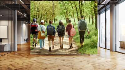 Active, sportive young people, friends going hiking with backpacks in forest on warm spring day, walking on path, enjoying landscapes. Concept of active lifestyle, nature, sport and hobby, friendship Wall mural