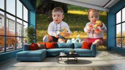 Babys, less than a year old, playing with  toys  Wall mural