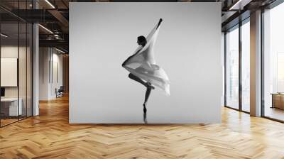 black and white portrait of graceful ballerina dancing with fabric, cloth isolated on grey studio ba Wall mural